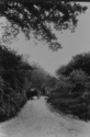 Previous photo