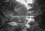 Previous photo