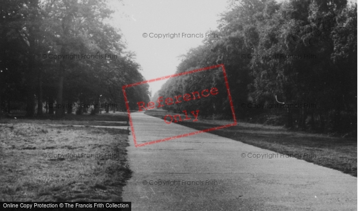 Photo of Aldbury, The Approach To The Bridgewater Monument, Ashridge Estate c.1955