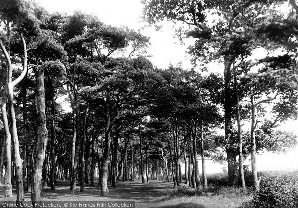 Photo of Aldeburgh, Walk In North Fields 1896