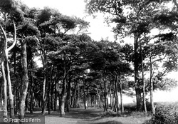 Walk In North Fields 1896, Aldeburgh