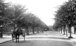 Cargate Avenue 1898, Aldershot