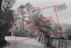Church Lane 1925, Aldershot
