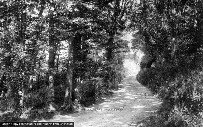 Photo of Alfriston, Road View 1894