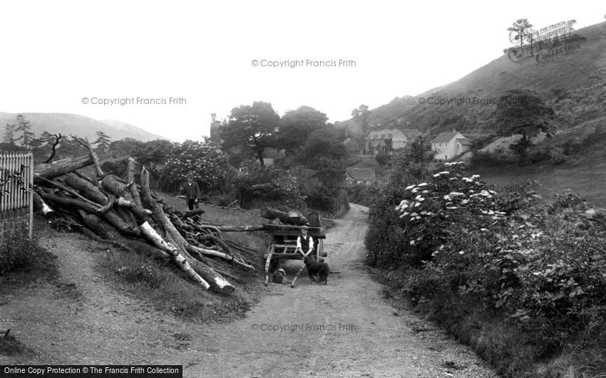 All Stretton, the Long Mynd Hills, Collecting Wood 1910