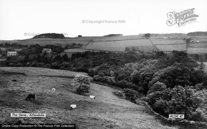 Photo of Allendale, The Dene c.1955