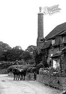Riding In The Village 1923, Allerford