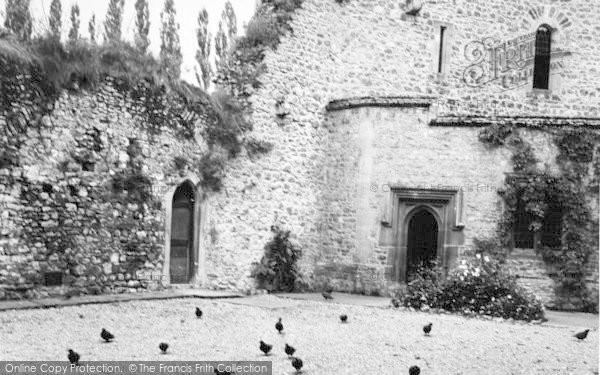 Photo of Allington, Castle, Pigeons c.1955