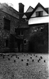 Castle, Pigeons c.1955, Allington