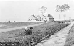 The Riding School Showing Griffell c.1955, Allonby