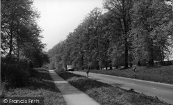 Alresford, The Avenue c.1955, New Alresford