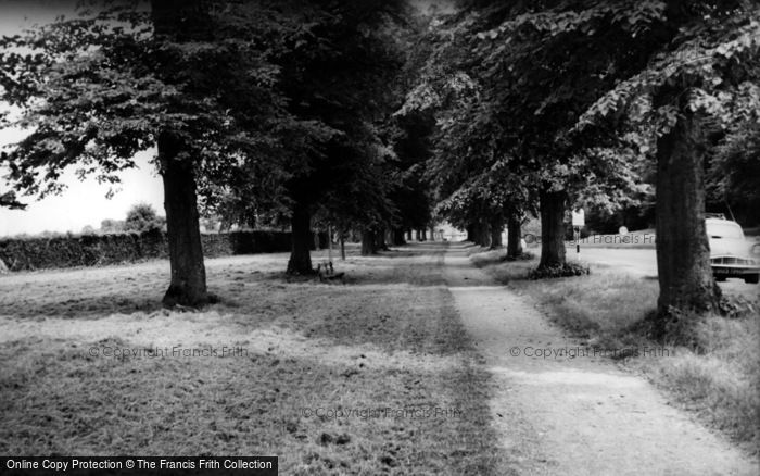 Photo of Alresford, The Avenue c.1960