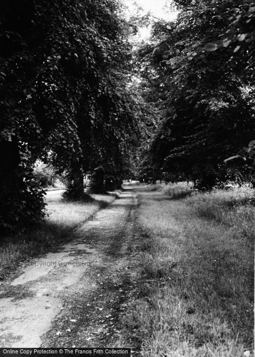 Photo of Alresford, The Avenue c.1965