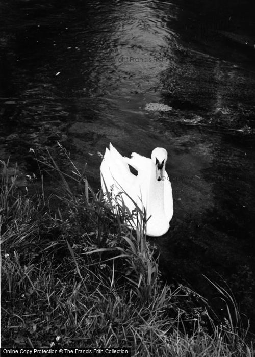 Photo of Alresford, The Fulling Mill c.1965