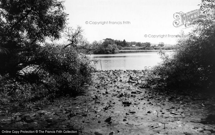 Photo of Alresford, The Pond c.1960