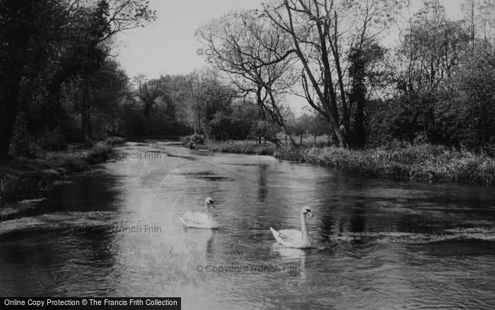 Photo of Alresford, The River c.1955