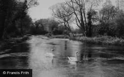 Alresford, The River c.1955, New Alresford