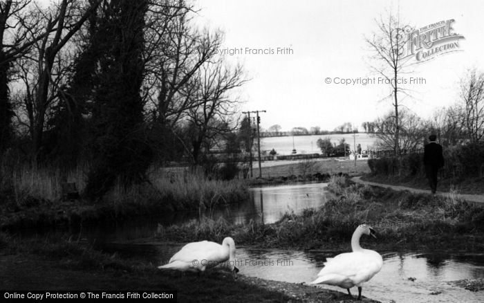 Photo of Alresford, The River c.1965