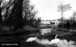 Alresford, The River c.1965, New Alresford
