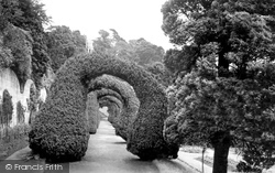 The Yew Arches c.1955, Alton Towers