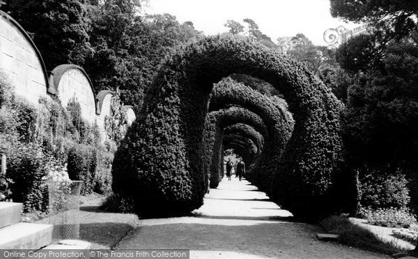 Photo of Alton Towers, Yew Arches c.1955