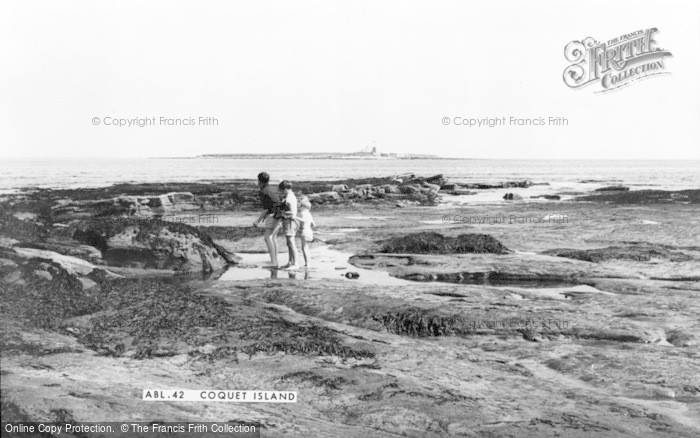 Photo of Amble, Coquet Island c.1965