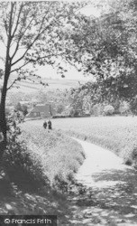 From Rectory Woods c.1955, Amersham