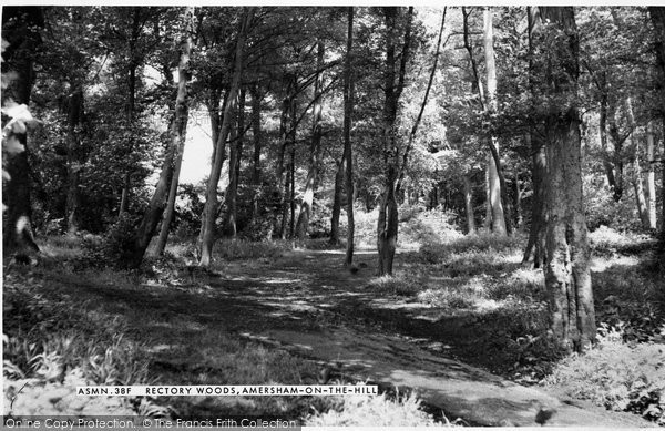 Photo of Amersham On The Hill, Rectory Woods c.1955