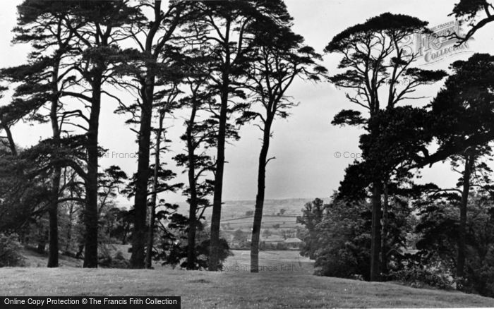Photo of Ampthill, The Park c.1955