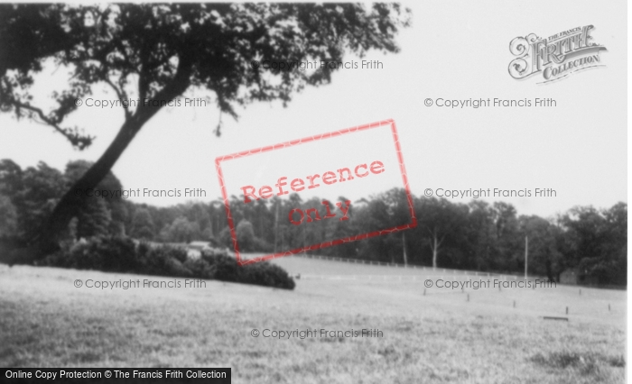 Photo of Ampthill, The Park c.1955