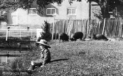 A Boy And Pigs 1906, Andover