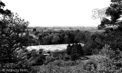 From Bury Ring c.1955, Anna Valley