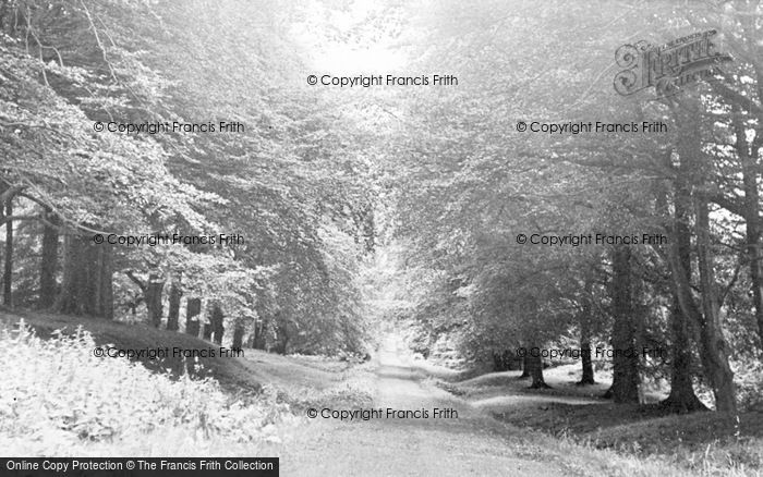 Photo of Annfield Plain, Tower Road c.1955