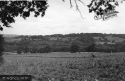 View From Town House c.1955, Ardingly