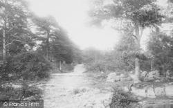 Road To Fairy Steps 1894, Arnside