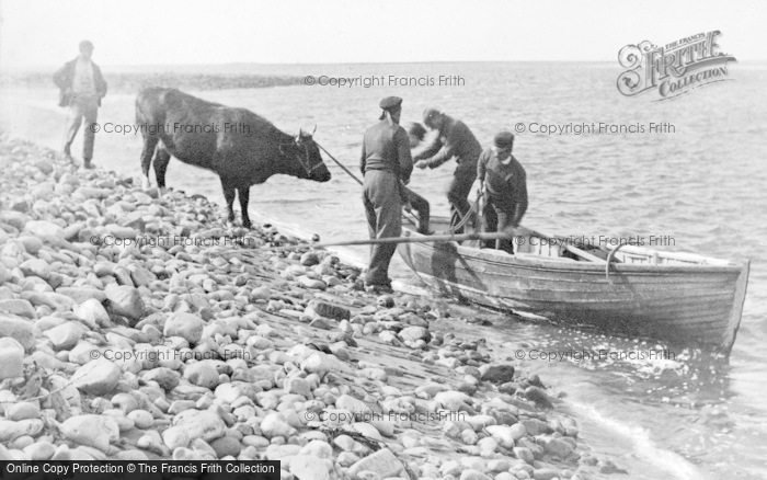 Photo of Arthog, Ferrying A Cow Across The Mawddach 1885