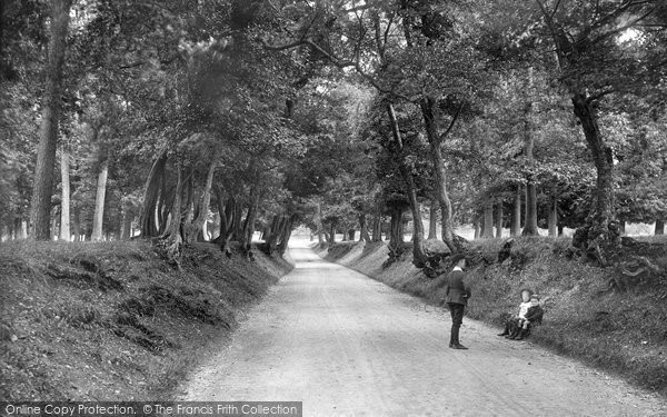 Photo of Arundel, Park Avenue 1908