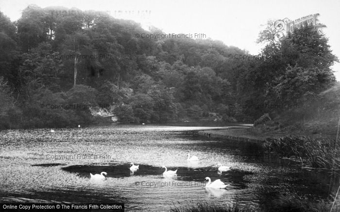 Photo of Arundel, Swanbourne Lake 1908