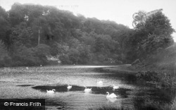 Swanbourne Lake 1908, Arundel