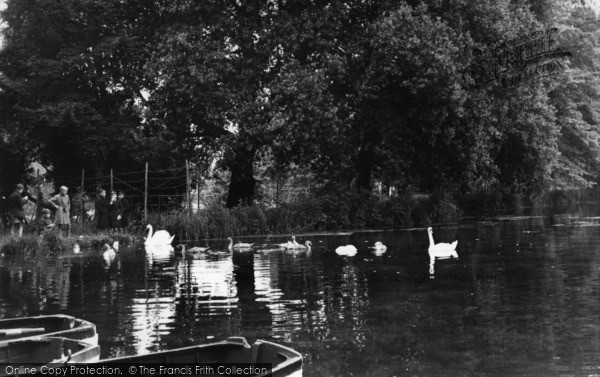 Photo of Arundel, Swanbourne Lake c.1955