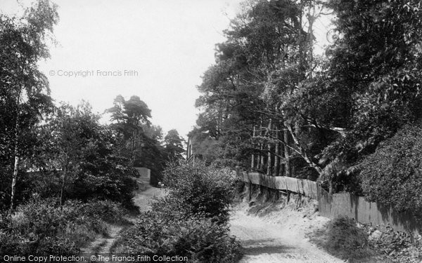 Photo of Ascot, Bog Hill 1901