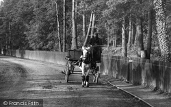Horse And Cart 1906, Ascot