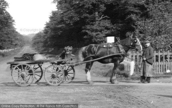 Photo of Ascot, Horse And Cart 1906