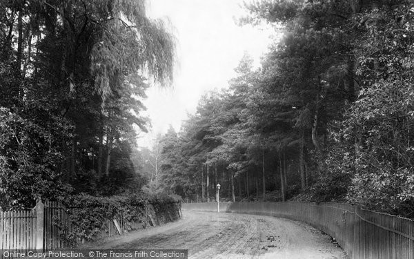 Photo of Ascot, Station Road 1903