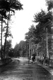 Station Road 1906, Ascot