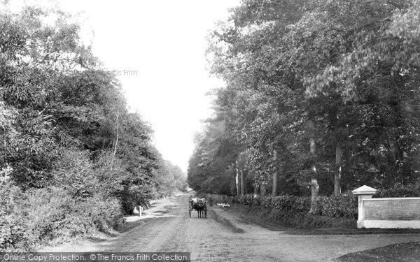 Photo of Ascot, Swinley Road 1906