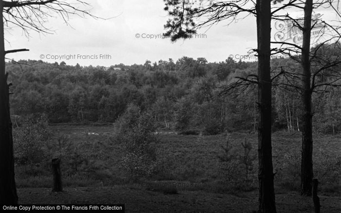 Photo of Ash, Fox Hills 1955