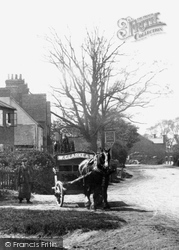 Horse And Cart 1905, Ash