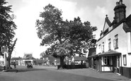 Ash, The Greyhound 1932