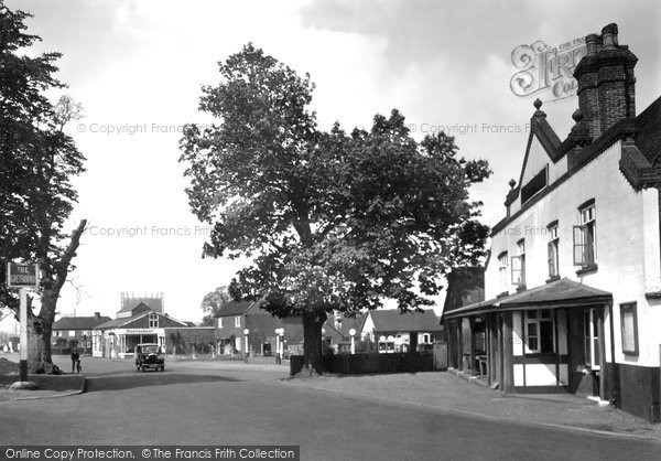 Photo of Ash, The Greyhound 1932